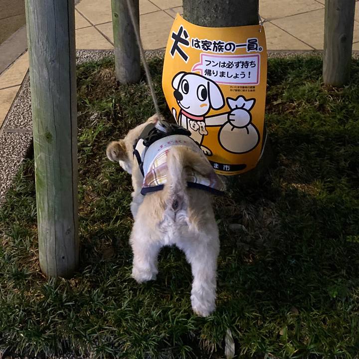 69bdc0fe a7b2 4061 98c2 1d4007264f67 1571654154464