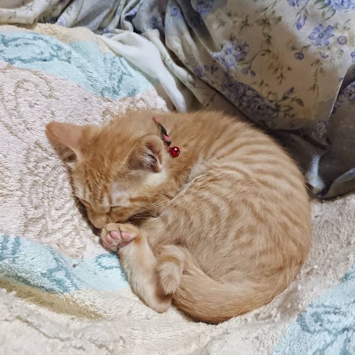 69bdc5c6 ee8f 4d88 ae1f cd1554daf2a4 1632056062096