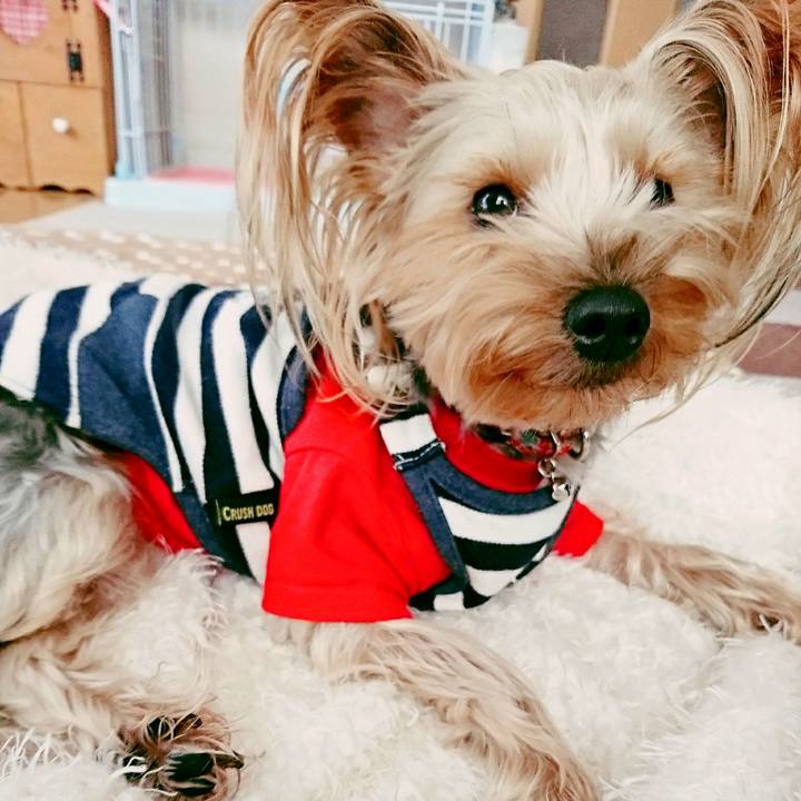 69bde45e be5e 4d93 b8c5 648ec7b65c9d 1512805732348