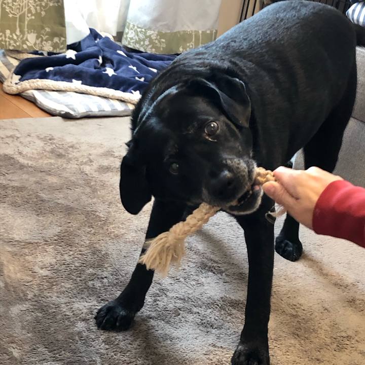 69be0042 e491 4843 bd6a 398c840eef08 1579392345822