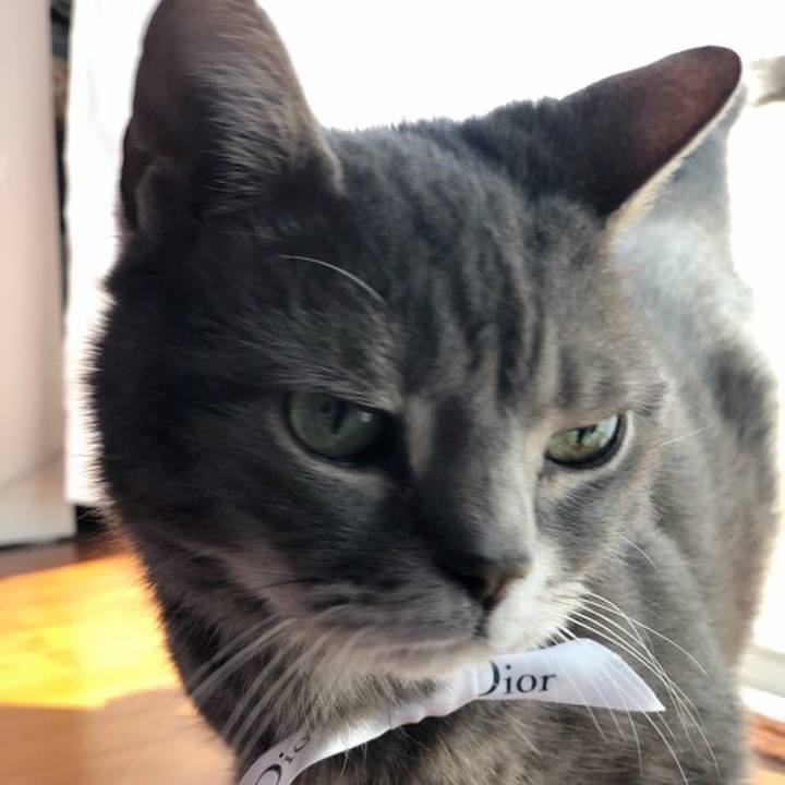 69be1fb6 4bb9 425a 957e 8d7c7f76e869 1558963511176