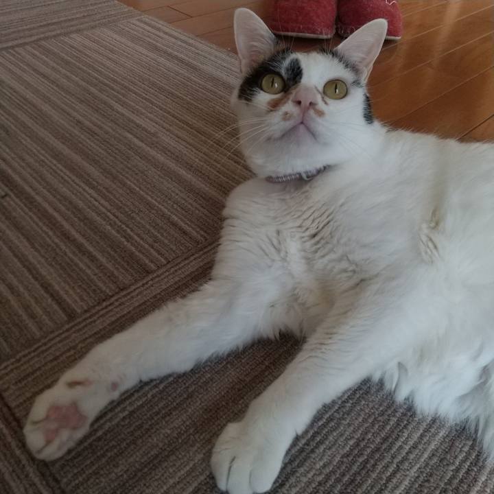 69be214f f179 4a04 a360 fd2d24bc770e 1648515357891