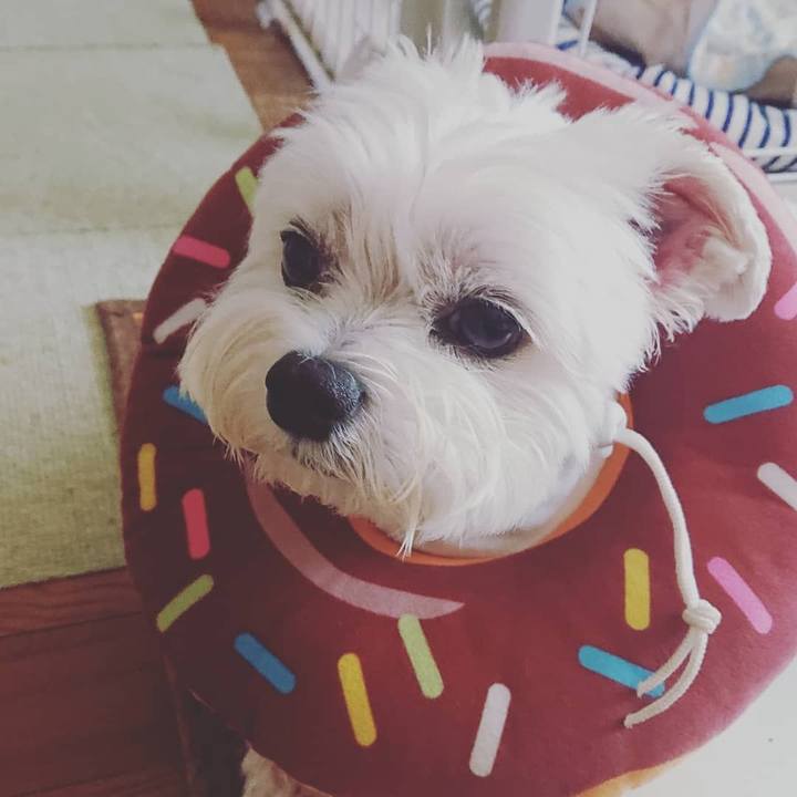 69be3726 4798 4640 aa46 886269621882 1626243662757