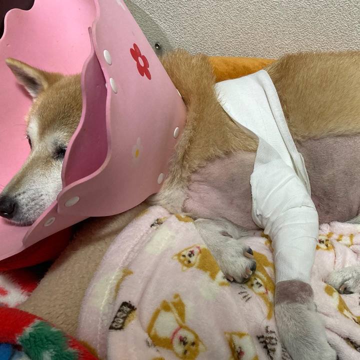 69be6a80 13c8 4041 b994 e49e4b7f0631 1637411540573