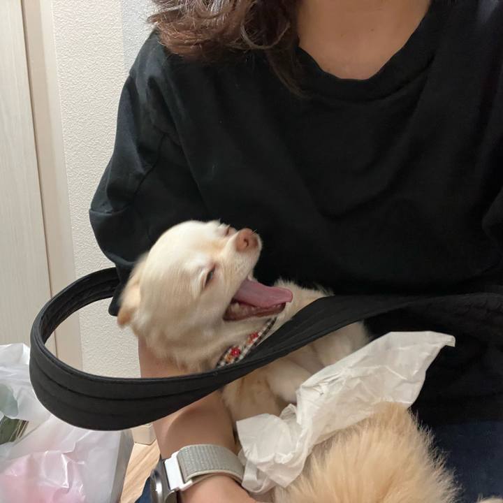 69be74e4 22e3 425a 9fd1 3a2649430f09 1726056723943