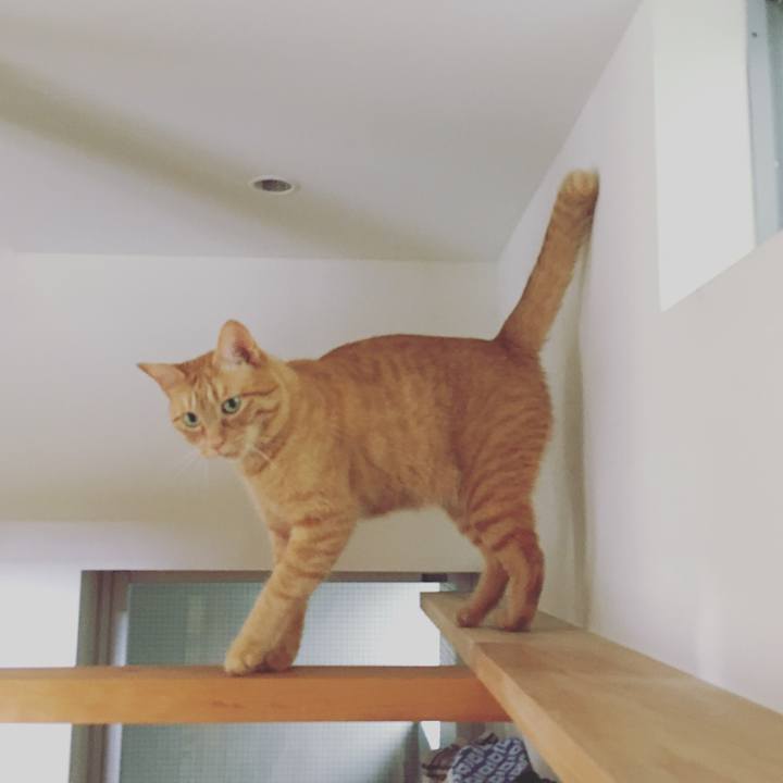 69beb4b5 fbff 4ef3 9eb1 09953af2c9e4 1531483851288