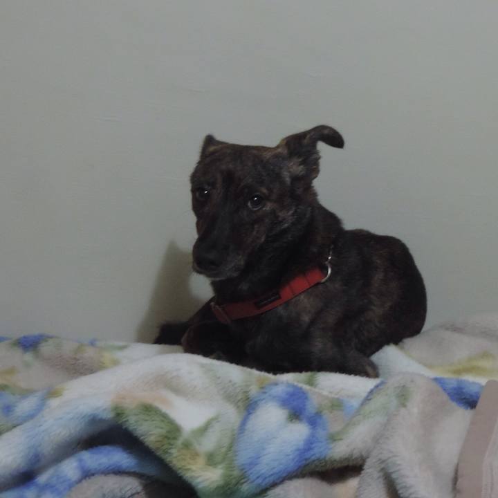 69bebb78 e100 4643 b43a 22c02bd25c4c 1537885294253