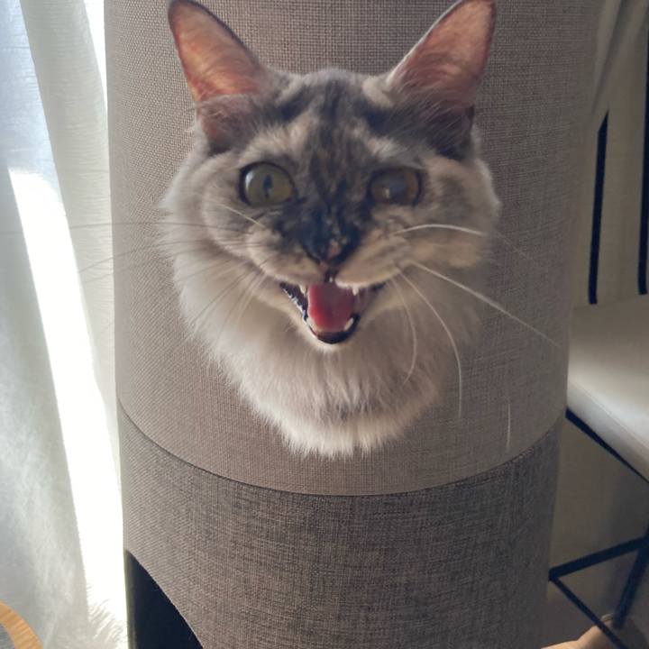 69bee9b1 77e0 4ebf ba42 c000acf2323b 1720311038130