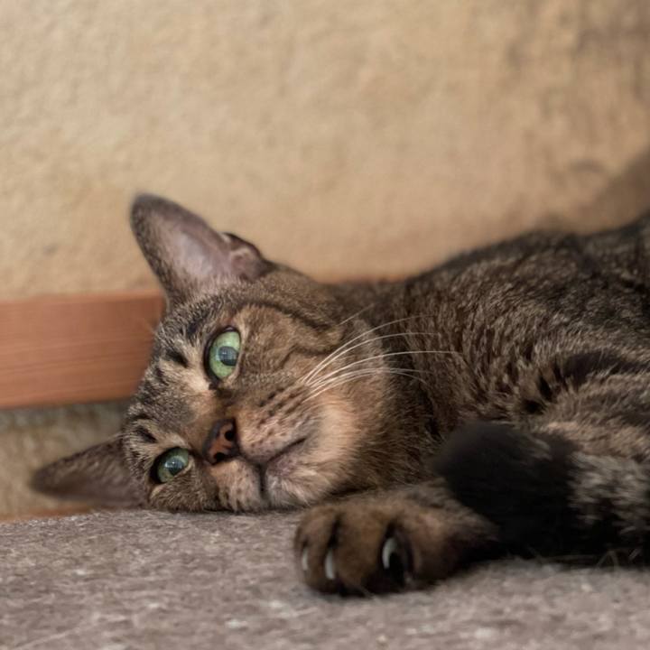 69befc9c 9198 4928 b6e7 7e00246c2b80 1630026295727