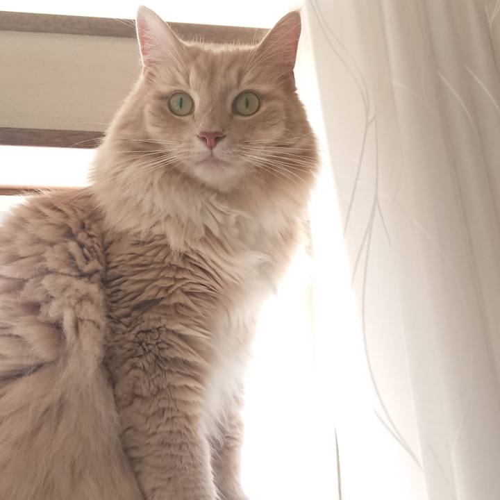 69bf02b3 8880 4bee a8d3 c2b70de87421 1534298799059