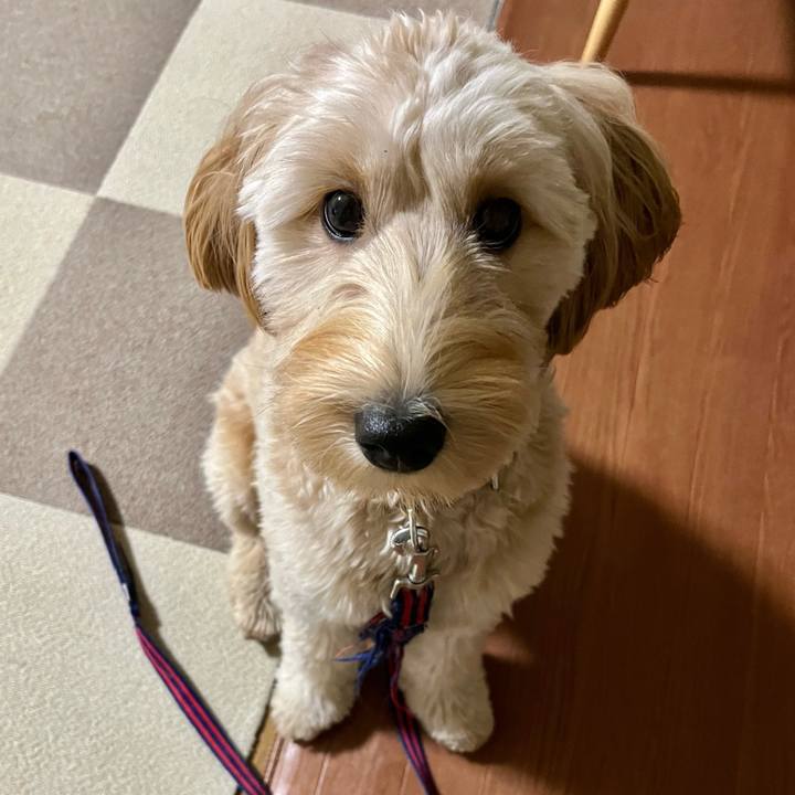 69bf0375 2c84 4b24 b40c e1de4dbd1846 1703198327228