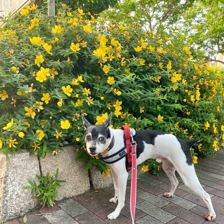 69bf13fc a31c 4163 a035 63f1c348b3ef 1591049466817