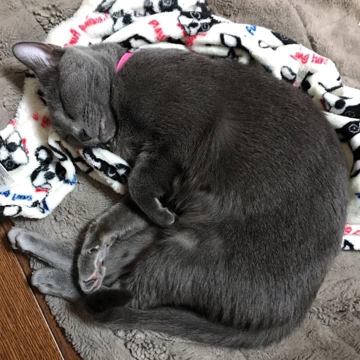 69bf3f19 95cc 433f 82c3 8743a82d027d 1550416826967