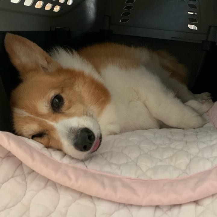 69bf61b1 2b83 4841 8923 8767b87b0461 1720137573059