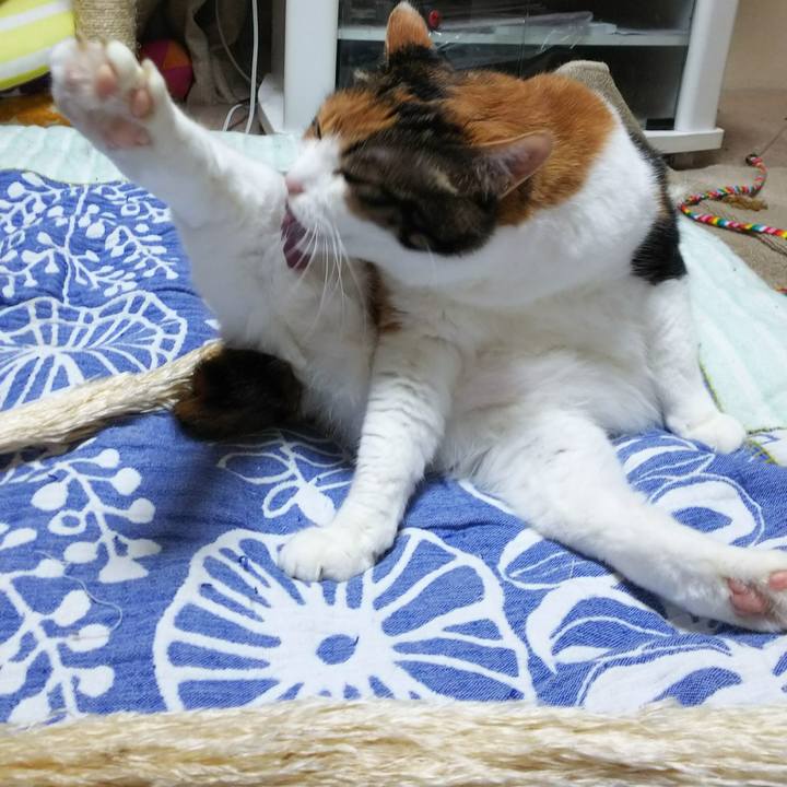 69bfb360 d296 44f0 ae4d a9910e50eeb7 1537098977135