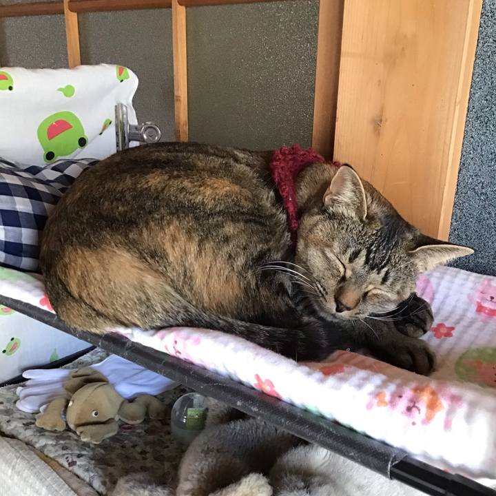 69bfc144 c0e6 49da 869c cfb43c227ba6 1614224495178