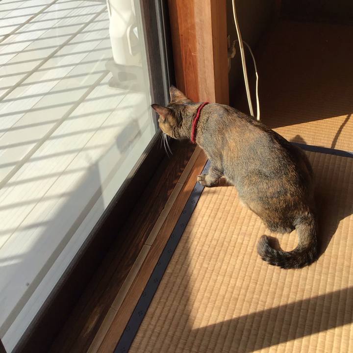 69bfd3b2 3872 4ac8 9a88 ad7729f19ce1 1603499638690