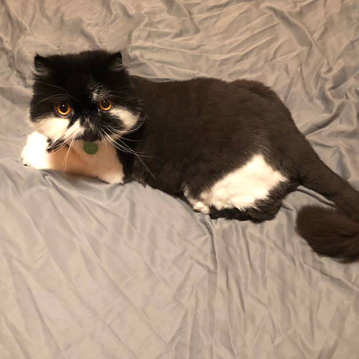 69bfe8d4 9326 4cc5 baf4 d7dc38b807f4 1626012575531