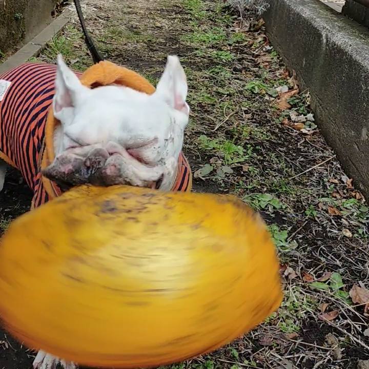 69bff10e 7973 4ebe b2d9 363fa677ef9b 1642390992900