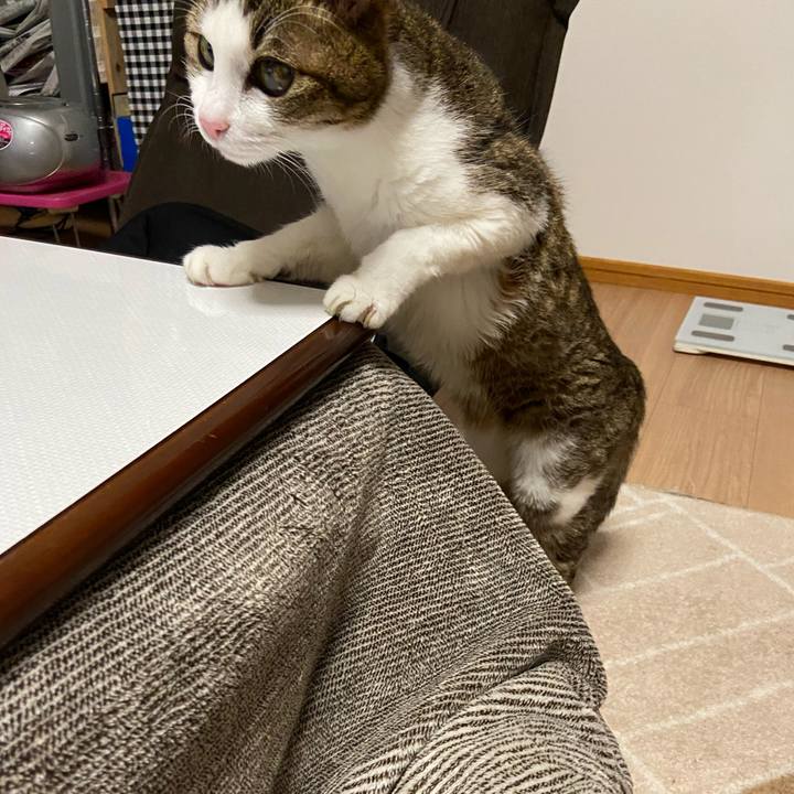 69c0064d 17b0 40e6 8a6b 554a46a88511 1577445956585