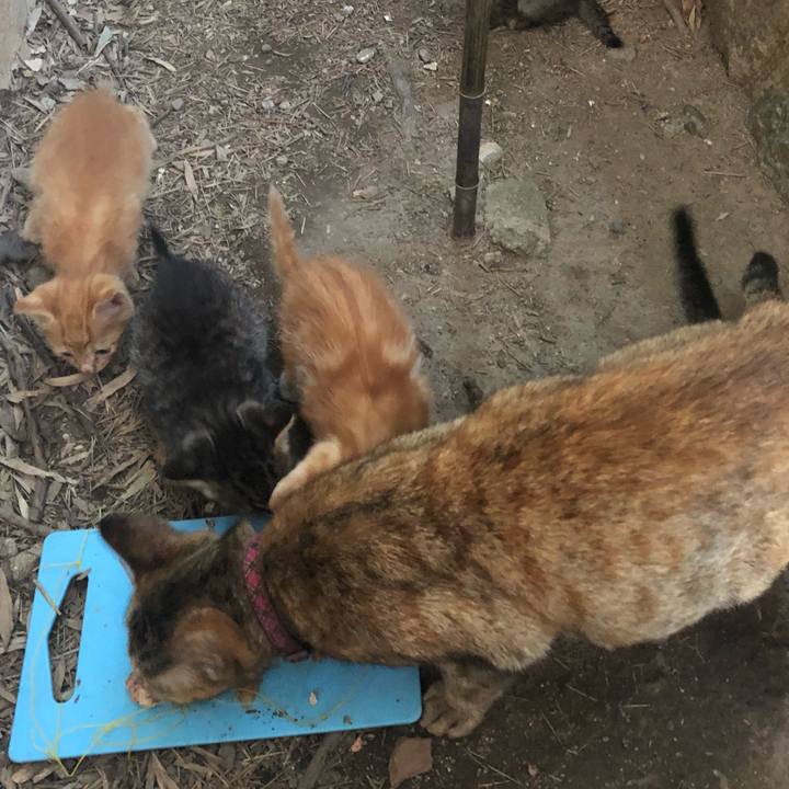 69c008f5 d89f 47f6 a824 9d722dd5fb76 1600736224993