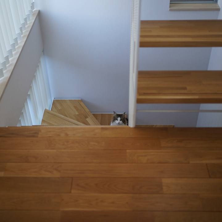 69c053f4 daaa 417d 8249 e9270daa6ecb 1584702153435