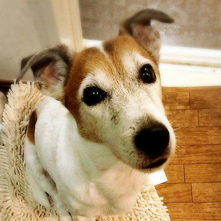 69c0c0e2 362c 417d 9732 73316926f58b 1509166033858