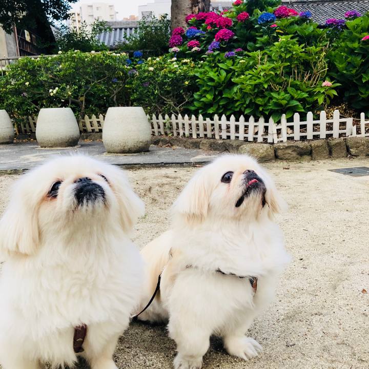 69c0c41c 20c4 4952 98e6 b229b07bb99c 1592269433405