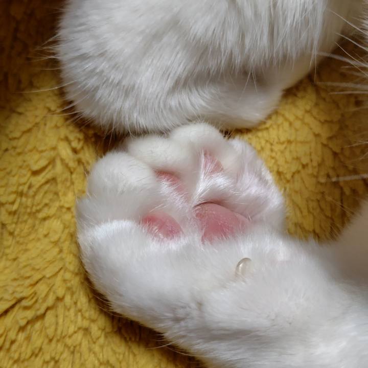 69c0e006 0c18 4181 8453 8ad66e723972 1772797337462