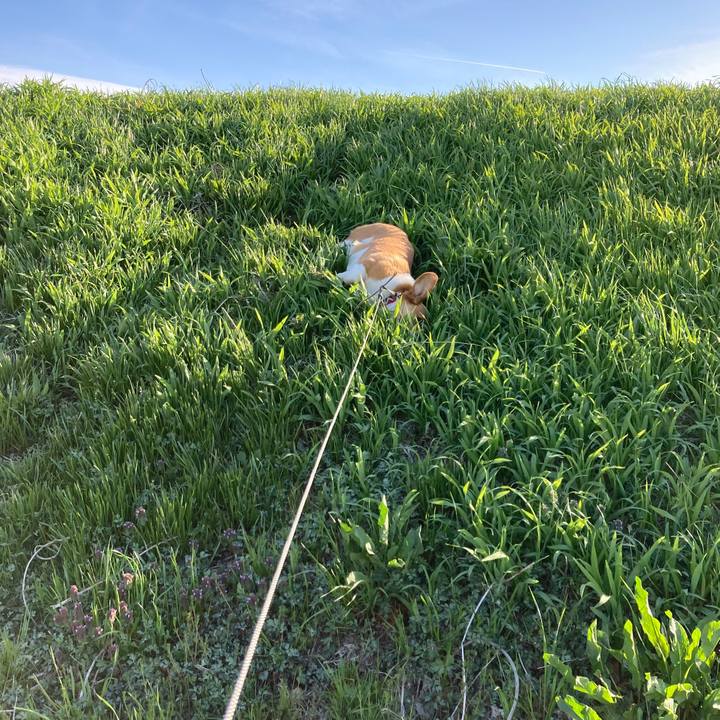 69c14829 2f3e 4603 b0a6 d71a568bb0f0 1649035152926