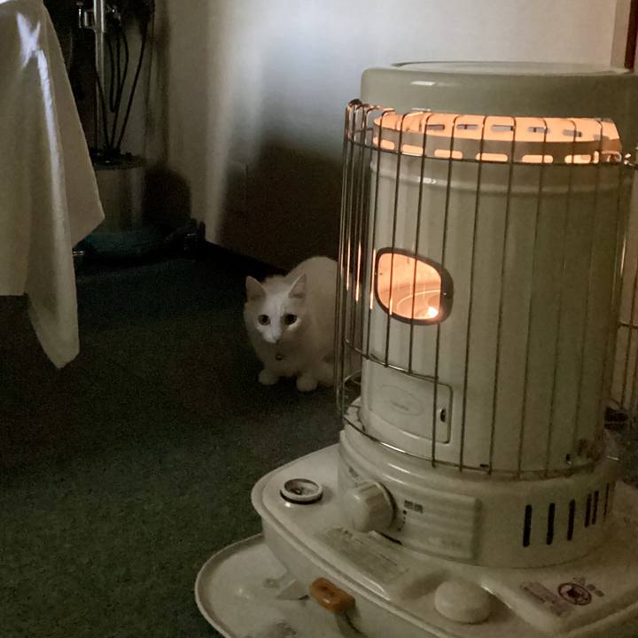 69c15837 4fb7 4d9d 9573 dbf758e5f74e 1728949280830