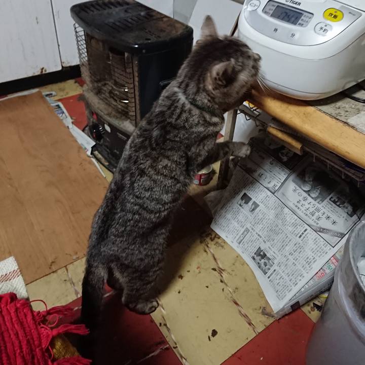 69c19235 039d 49ab 9c8d 17c0daeacb55 1553504110395