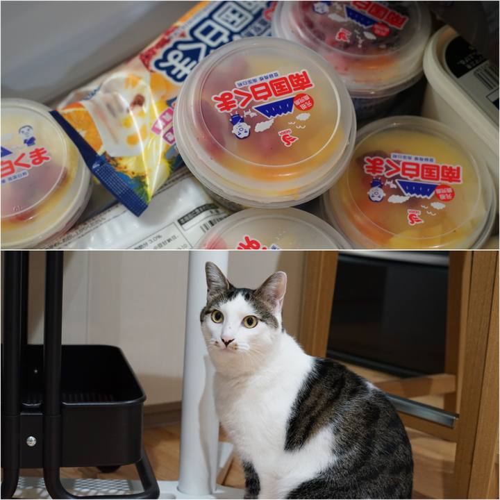 69c194d5 1a28 4475 829d e12fe4c91c70 1533600062651