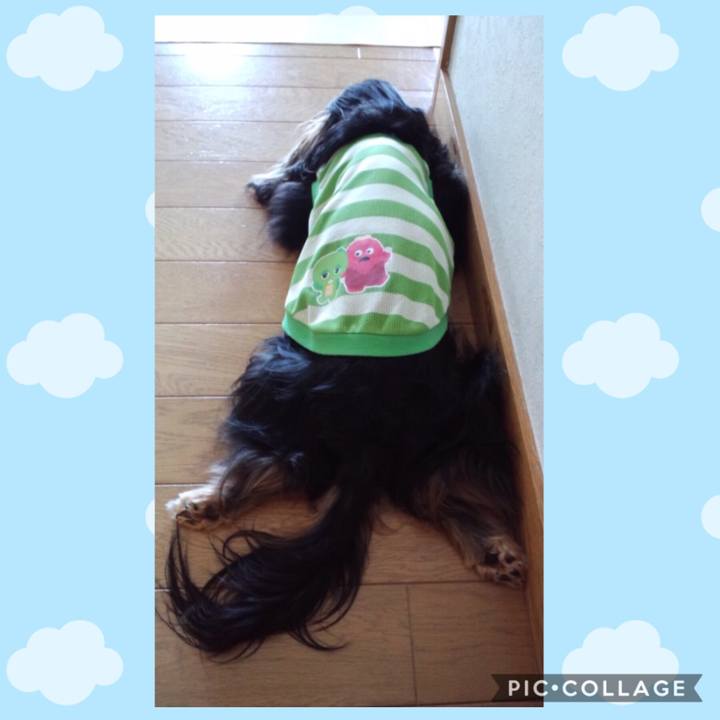 69c1bf67 e5b3 4ab0 978a d819abb72d2d 1560853167949