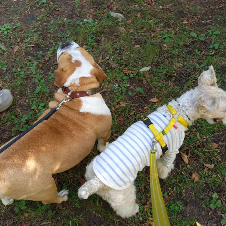 69c1e44c 1f7d 4b46 a7db 380b140a58be 1635939041528