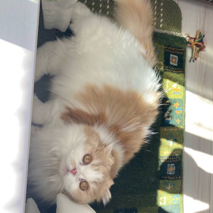 69c1ed27 ac08 44ec bce5 ee1d61d16b0f 1613819322363