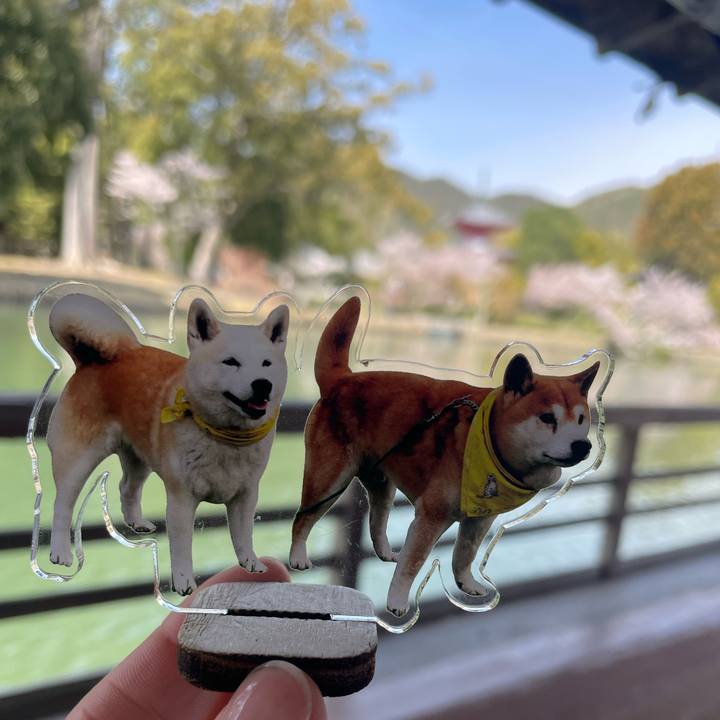 69c20592 3c85 438e aba5 ee6296ea8bd2 1744463522474