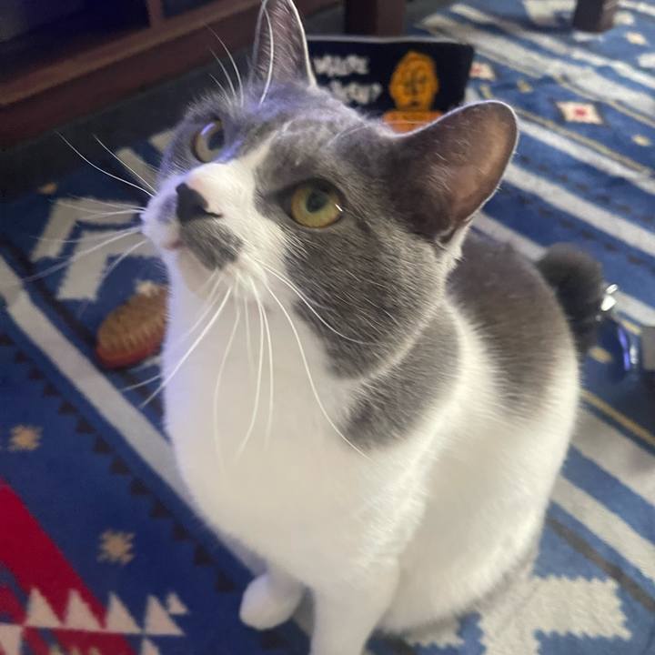 69c218d2 0163 494f 9e79 74a9db09ac7c 1682834011750