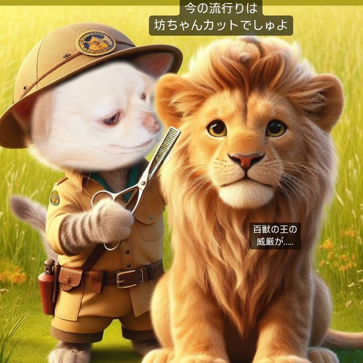 69c2684f 75ee 434a a43b ac9e7e582fed 1710326689289