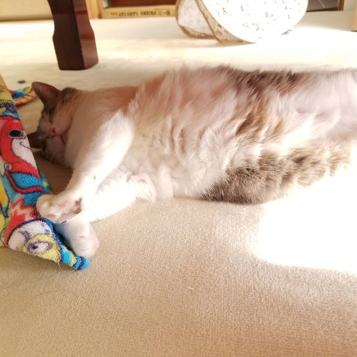 69c28555 f3fb 417a bf06 5aa1b4987b24 1671589029915