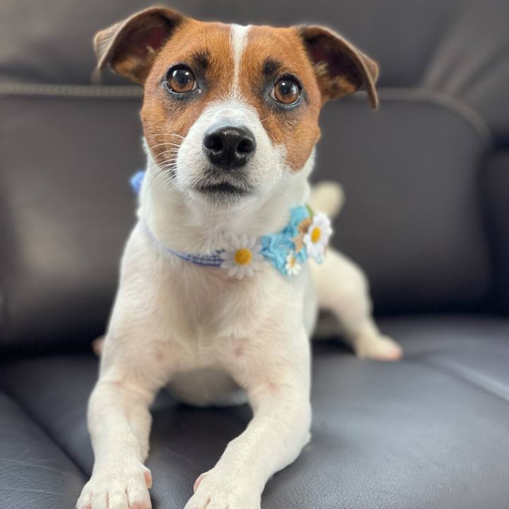 69c28760 f5bb 4041 a9ce b4fac77d8379 1624519794972