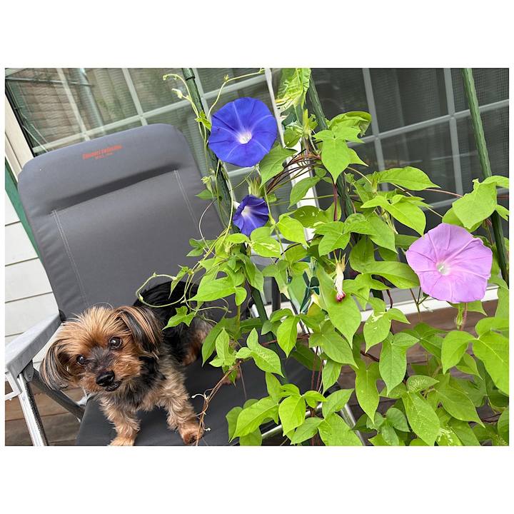 69c2992a 94d9 40e4 aa57 77ccd2490f72 1755124478585