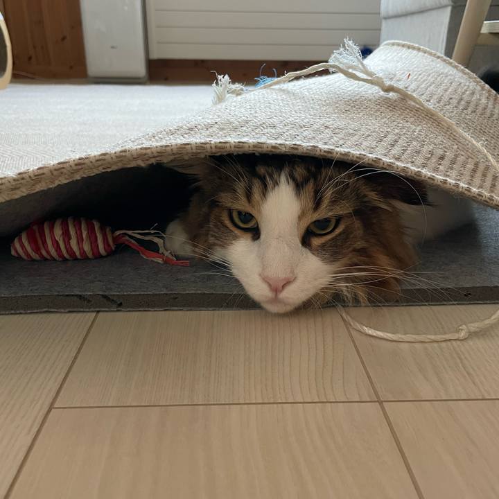 69c2f2f4 8427 4e7b 8a18 a4c7dacd9f83 1664141591201