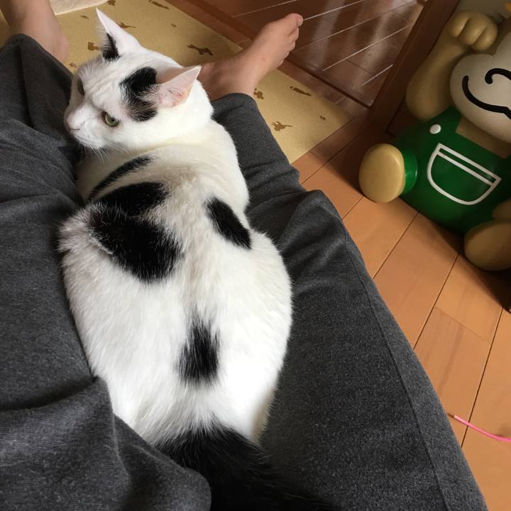 69c3245b 8cb9 4159 83ae 32729f177ff3 1537772205636