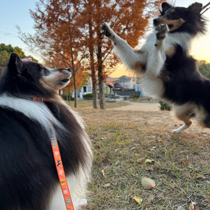 69c348ac dbd7 4834 b543 9aa58076893d 1765384194949