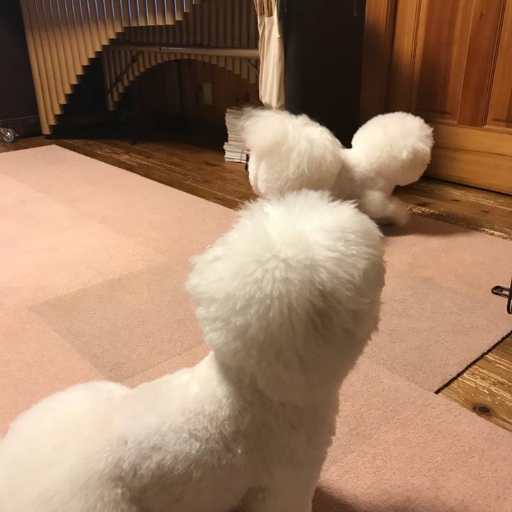 69c3a282 60b5 4155 9912 32cb9be8d05e 1529157453290