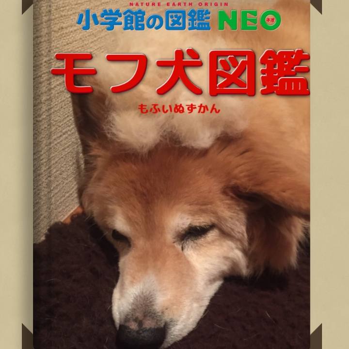 69c3aa85 d262 4c38 9dc2 2f0f38539f18 1578390257241