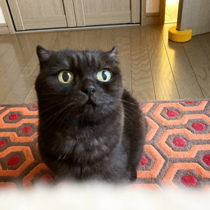 69c4083c ee8d 4e41 a759 d93f77d948a9 1605400427724