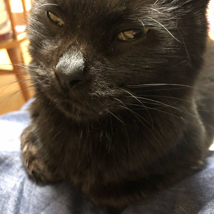 69c4270b 74aa 4b3f 832a d009d1aa7864 1618655954815