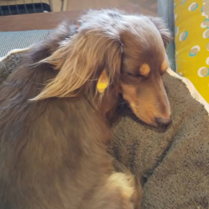 69c43e1b 1bc8 4409 9766 1c50e24159ba 1547599433219